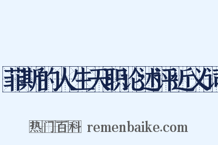 菲斯的人生天职论述评近义词是什么意思的图片